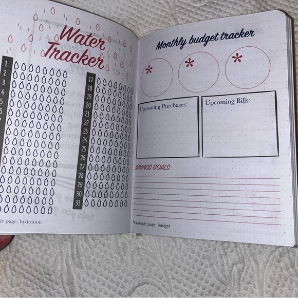NWOT planner/habit tracker/journal - Picture 5 of 9